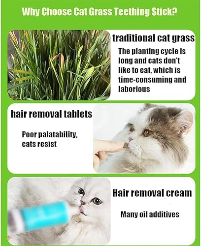 Miniatura 2 de DENGWANG Palito de dentición de hierba para gatos, palo de dentición de hierba para gatos, palitos de dentición de hierba para gatos de interior,