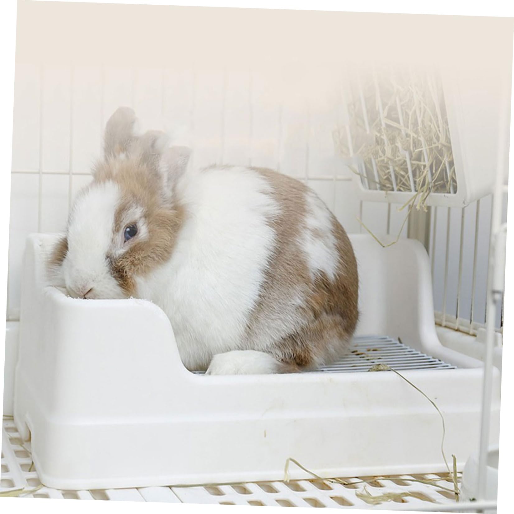 SOLUSTRE Lettiera per Animali Domestici in Plastica Bianco, Grande Dimensione, Divisa in Parti, Antiribaltamento e Antispruzzo, per Conigli e Piccoli Animali