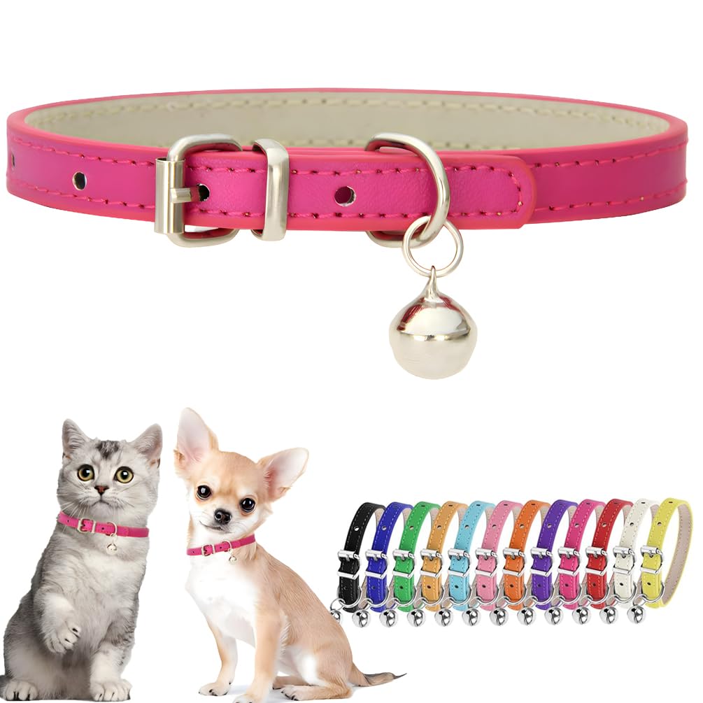 Collier basique pour chiot rose fuchsia à clochette : idéal pour ne plus perdre votre animal