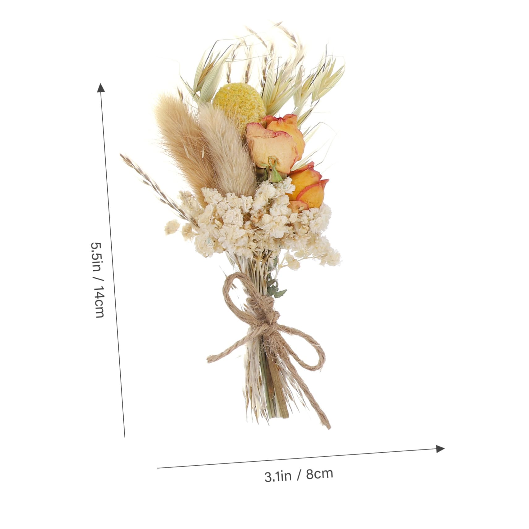 Alipis 2 Sätze Mini Trockenblumenstrauß Teiliges Dekorative Getrocknete Blumen Für Hochzeiten Partys Und Wohnkultur Pflegeleicht Für Fotos Und Kreative Arrangements 6 Stück * 2