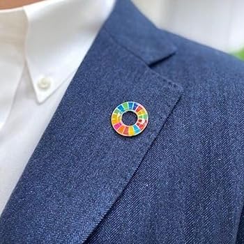 Amazon.co.jp: SDGsバッジ 国連本部公式最新仕様 25mm金色丸み
