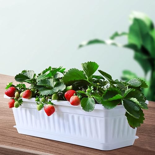 Miniatura 8 de Yardwe Macetero para ventana, 2 macetas de plástico para verduras, macetas rectangulares con bandeja para jardín interior y exterior, patio,