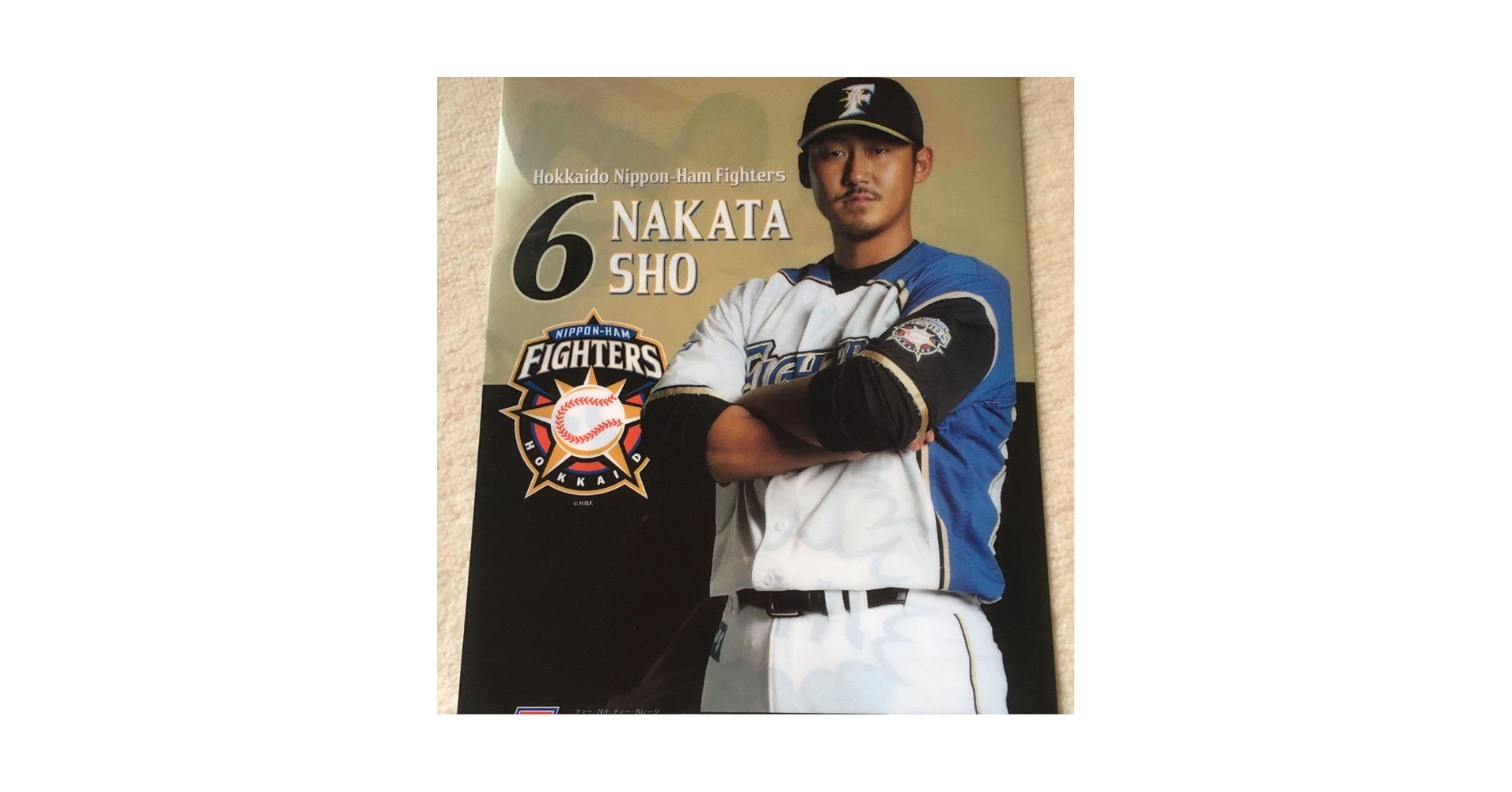 Amazon.co.jp: 巨人 中田翔選手 日ハム時代 A4クリアファイル