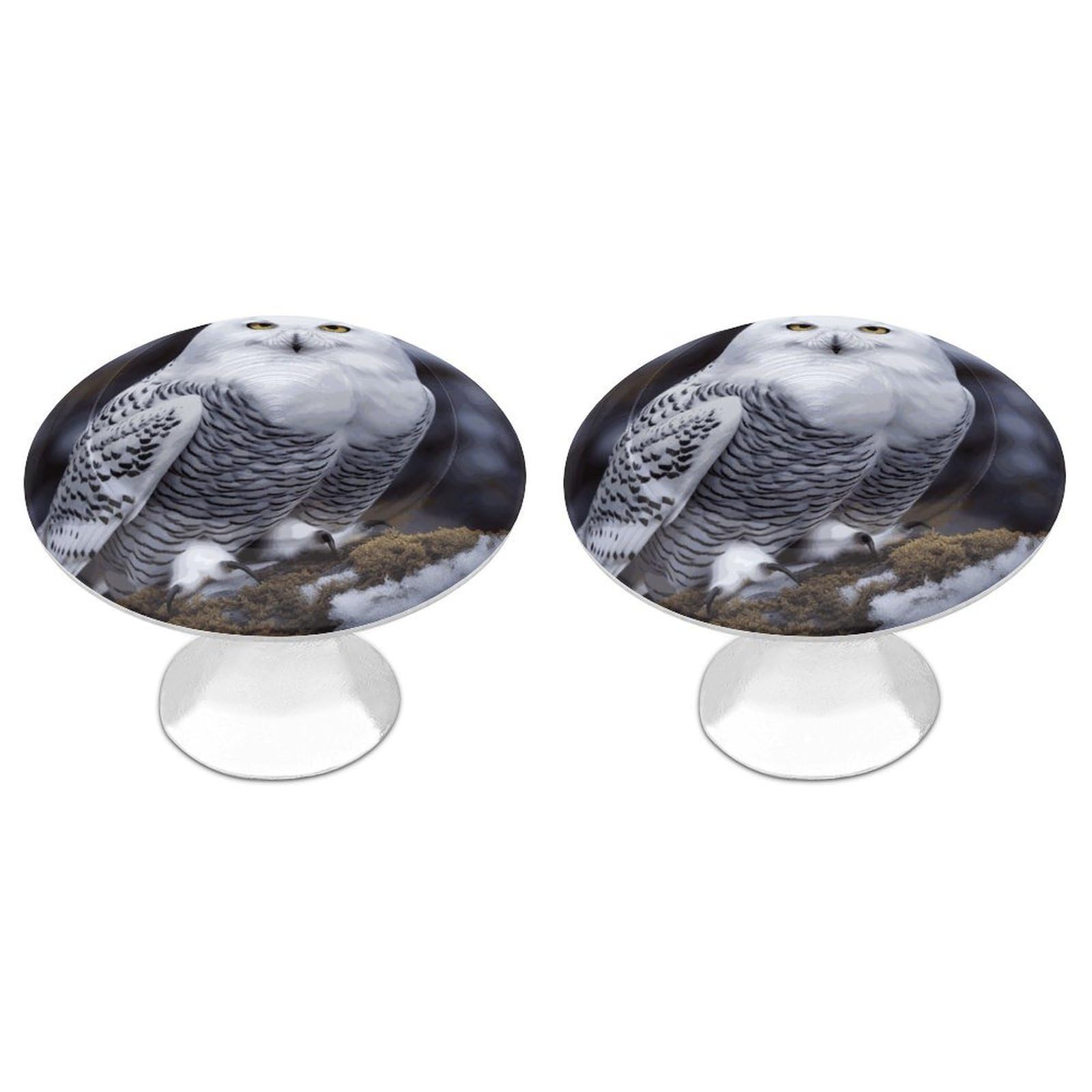 Fekiloot Style Arctic Owl Cabinet Knob Kitchen Drawer Knob Stainless Steel Round Drawer Pulls Modern Cabinet Hardware Vintage Dresser Drawer For Kitchen Bathroom Closet Dresser Cabinets