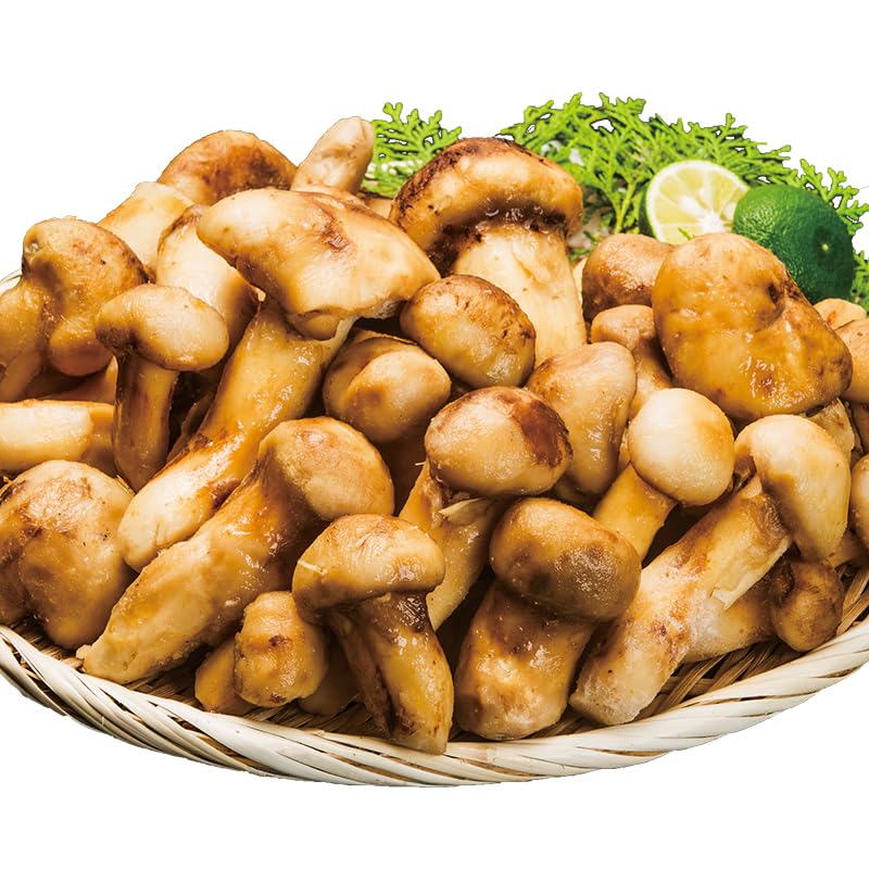 Amazon.co.jp: 500g or 1kg 天然松茸(大きさ不揃い) まつたけ マツタケ 
