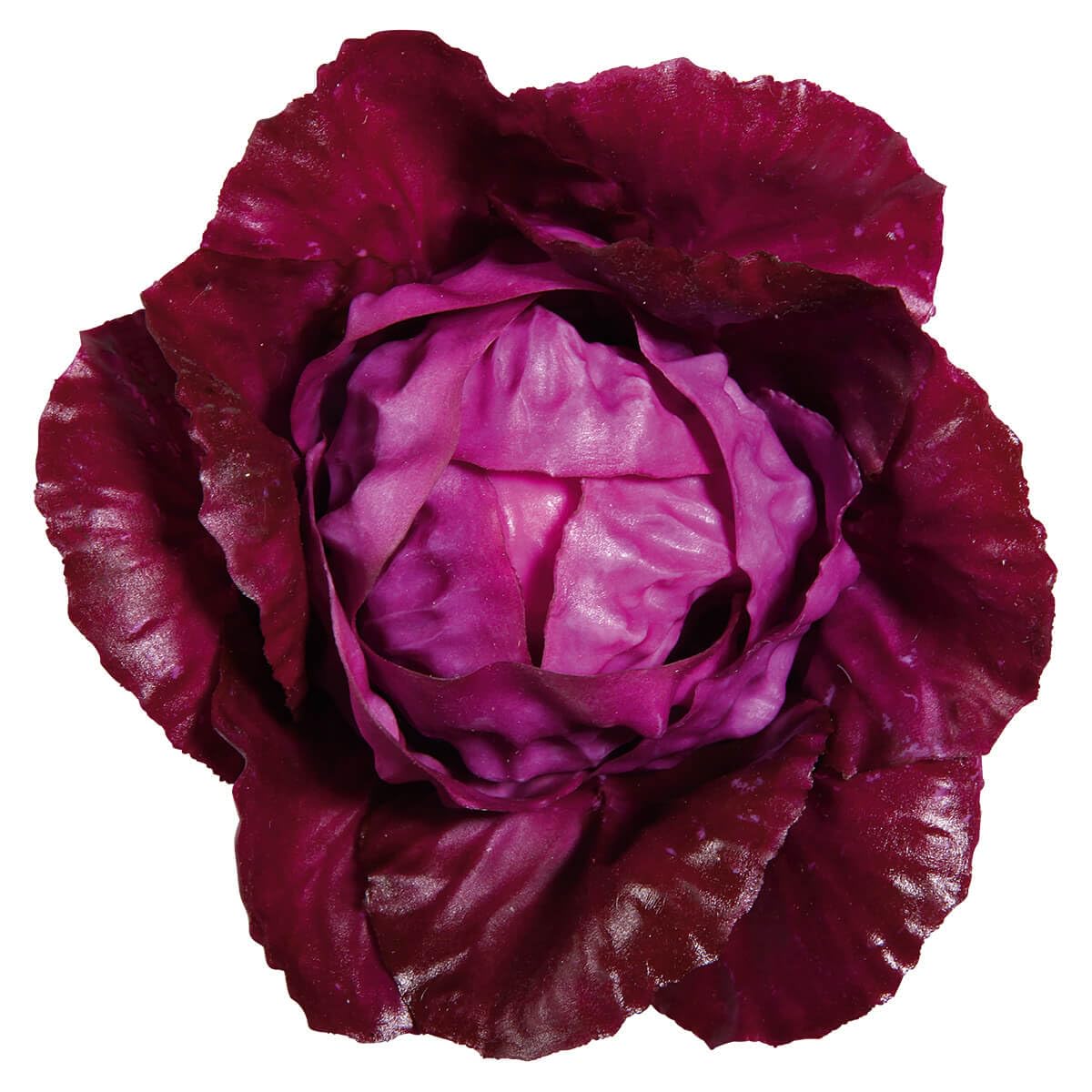 Lebensmittel-Attrappe Rotkohl 13 cm Ø Fake Rotkohl Naturgetreues Deko Rokohl-Imitat Food Dummy