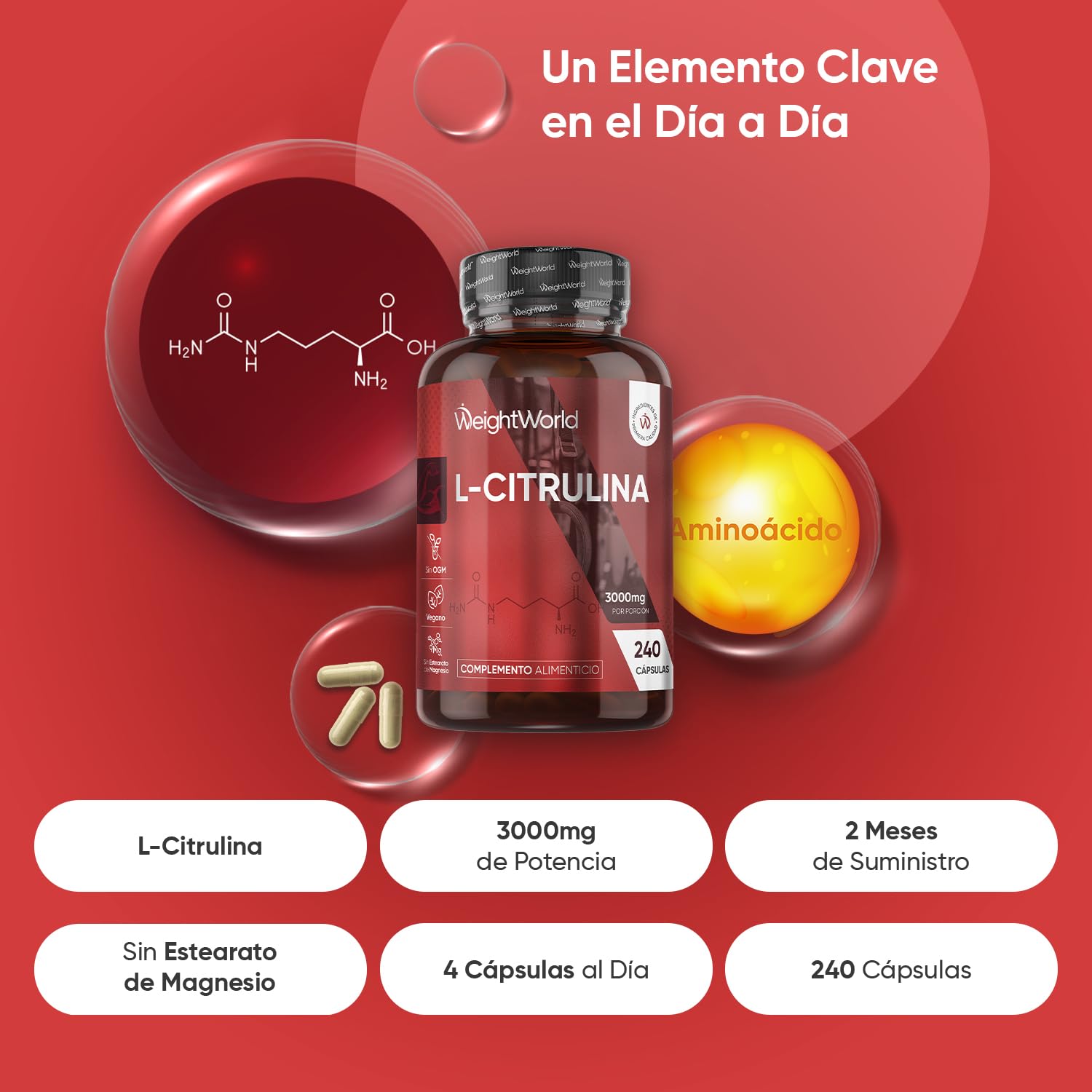 L Citrulina 3000mg, 240 Cápsulas Veganas para 2 Meses - Suplemento Pre y Post Entrenamiento, Fermentación Biotecnológica y Natural, Sin Estearato de Magnesio, Alérgenos ni OGM