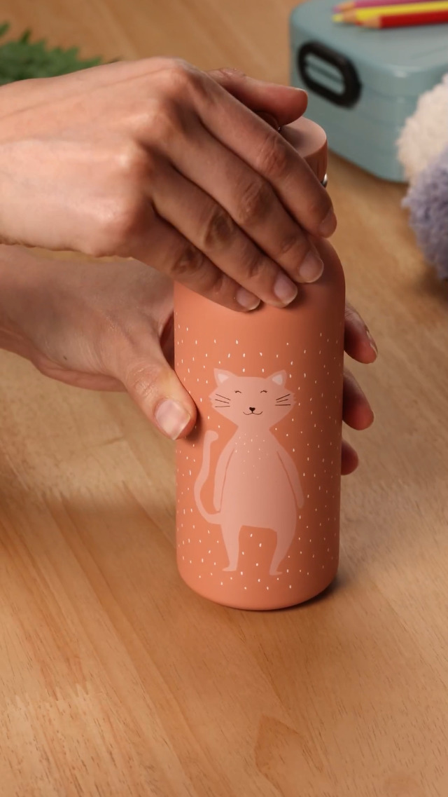 Amazon.com: Trixie Drinking Bottle - Mrs. Cat - 500ml Stainless