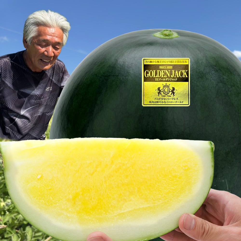 Amazon.co.jp: 山形県産 ご家庭用 スイカ ゴールデンジャック 1玉 (秀