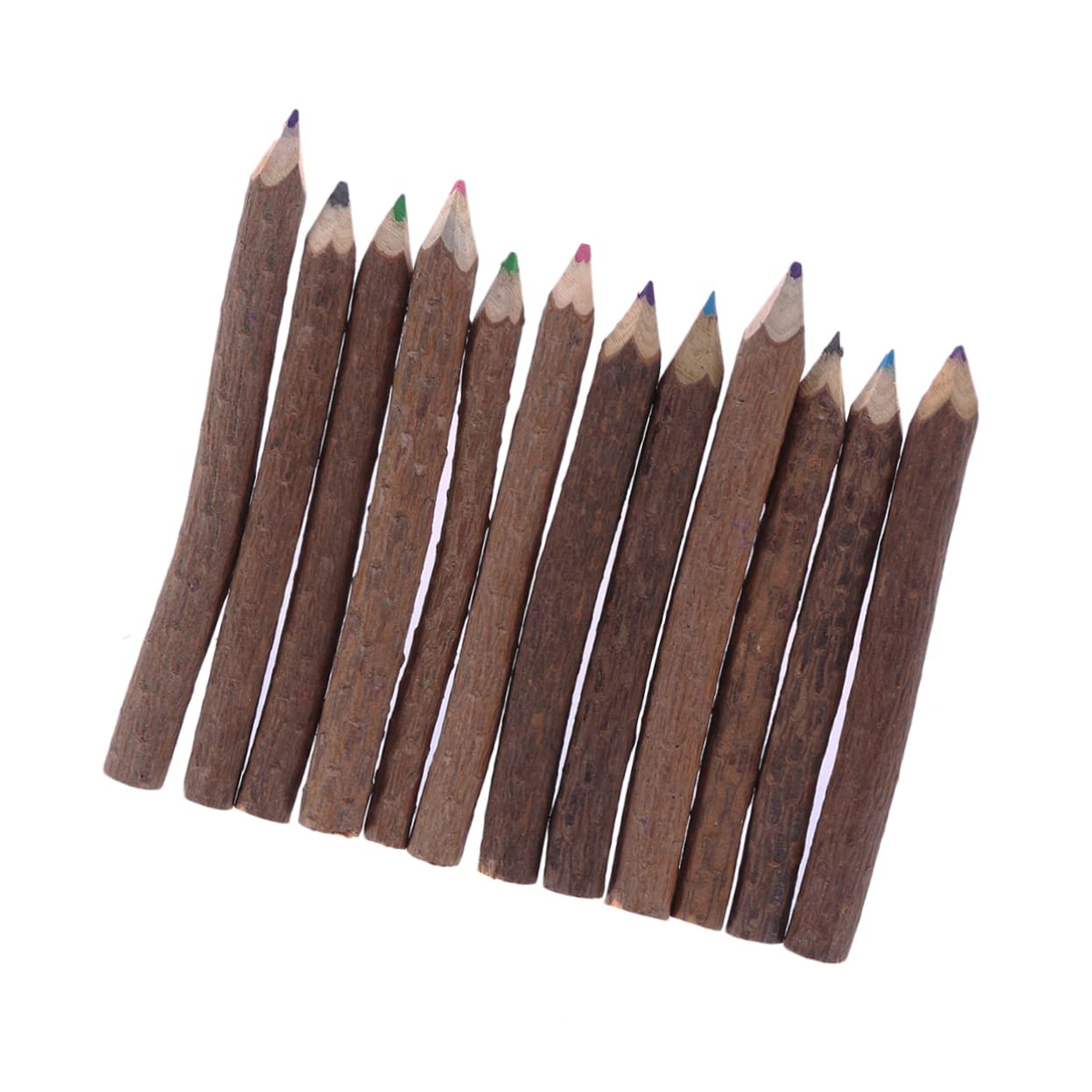 24pièces Crayons De Couleur Branches De Ensemble De Crayons Artistiques Pour Événements Créatifs