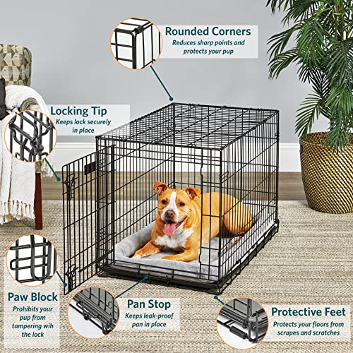 Dog Crate | Midwest Life Stages 36" Folding Metal Dog Crate | Divider Panel, Floor Protecting Feet, Leak-Proof Dog Pan | 36L X 23W X 25H Inches, Intermediate Dog Breed, Black #TOP2