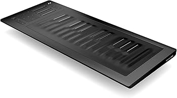 Amazon | ROLI Seaboard RISE 25 MIDI コントローラー [並行輸入品