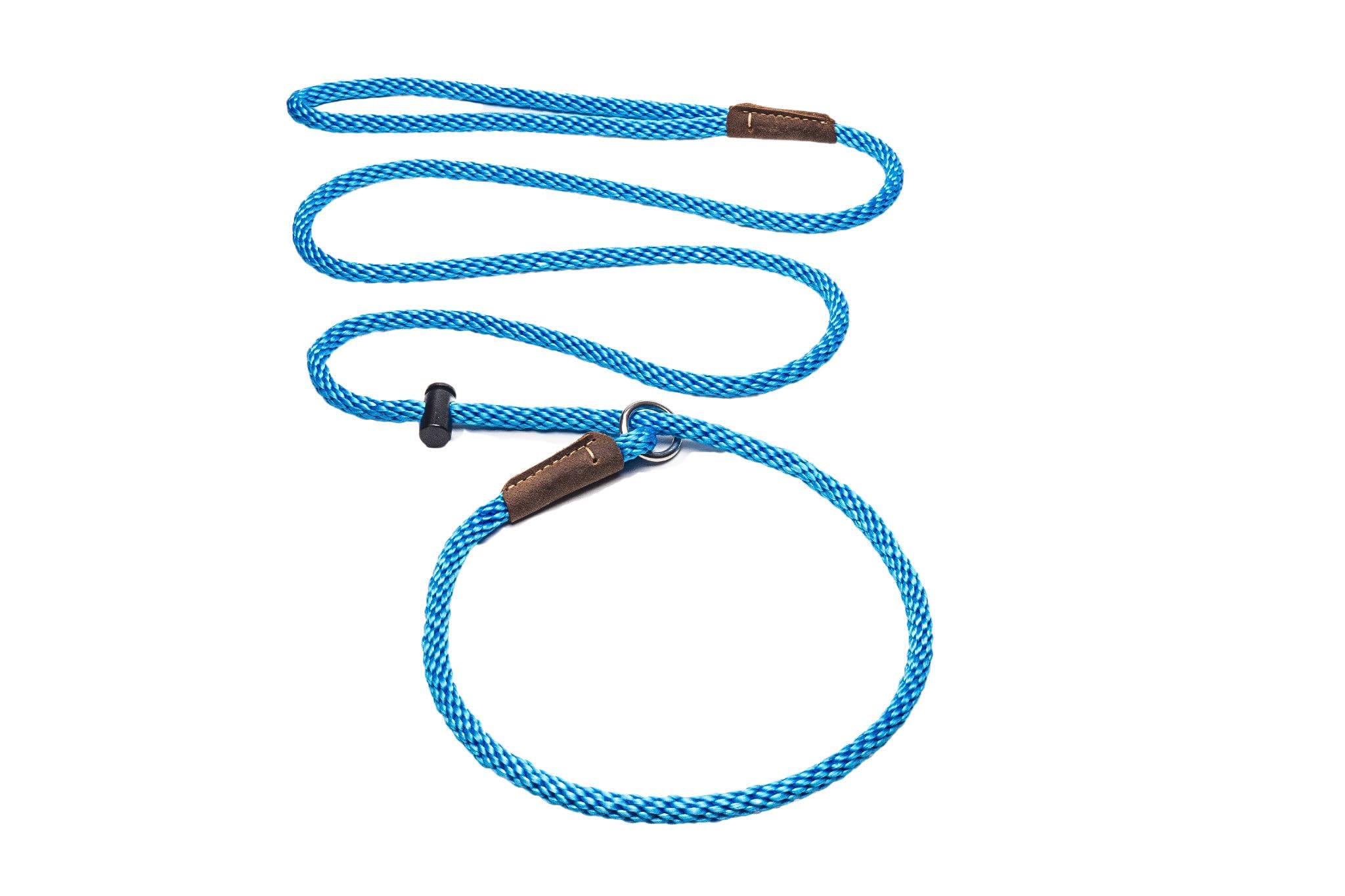 Slip lead/PREMIUM/professional dog training leash/8mm PP rope with the push button snug stopper and hand-stitched leather binding /4-6 feet (6 Feet, Sky Blue)