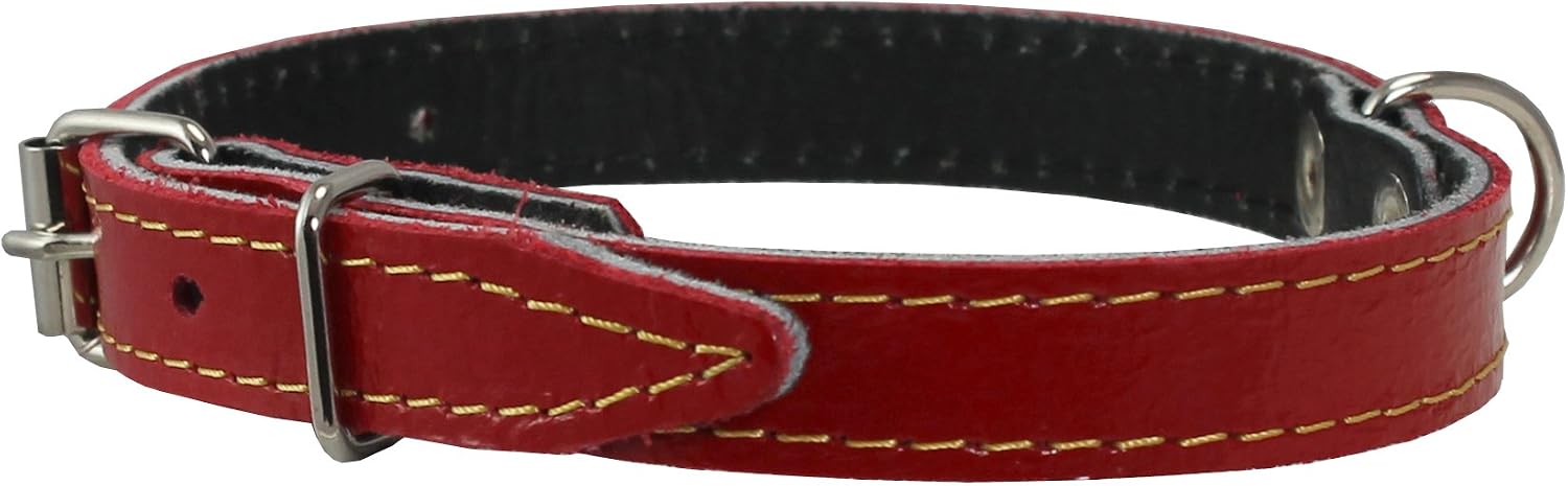 Genuine Leather Dog Collar 9.5"-13" Neck Size, 1/2" Wide Yorkshire Terrier, Puppies image 2