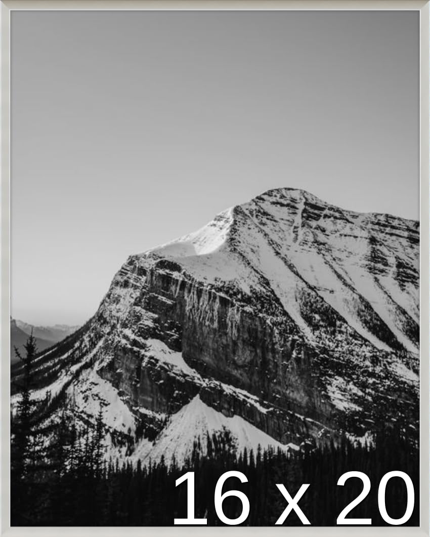 Frame It Easy 16 x 20 Gloss Silver Metal Frame (Ashford)