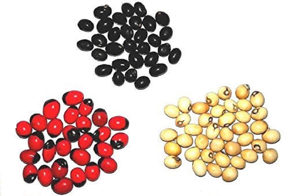 Kunal Exports {153 Pieces(51 Pcs Each)} Pure and Original Rare Chirmi Seeds Combo :Red Gunja Black Chirmi White Gurinvida Beads Ratti Gumchi Madhuyastika for Lakshmi Mahakali and Saraswati