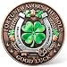 Fortune Favors the Bold Lucky Coin with Protective Case - High Relief Zinc Alloy Good Luck Collectible, Horseshoe & Four-Leaf Clover Keepsake Gift for New Beginnings & Success (1.57") ﻿ ﻿ ﻿