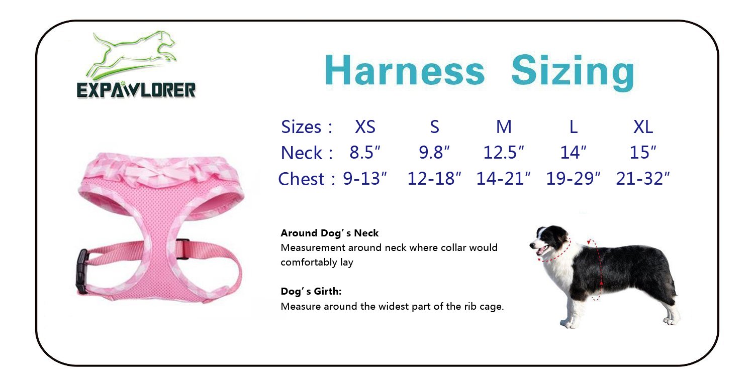 expawlorer dog harness