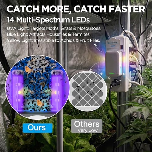 Flying Insect Trap with 5 Refills - Use Code YREVA4BN - Image 3