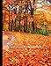Composition Notebook: Composition Notebook: Notebook Journal | Cute Wide Ruled Paper Wide Blank Lined Workbook For Teens Kids Students Girls For Home ... Autumn Season (Composition Notebook Autumn)