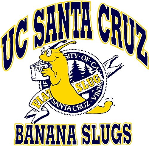 Maglietta grigio cenere con stampa Banana Slugs