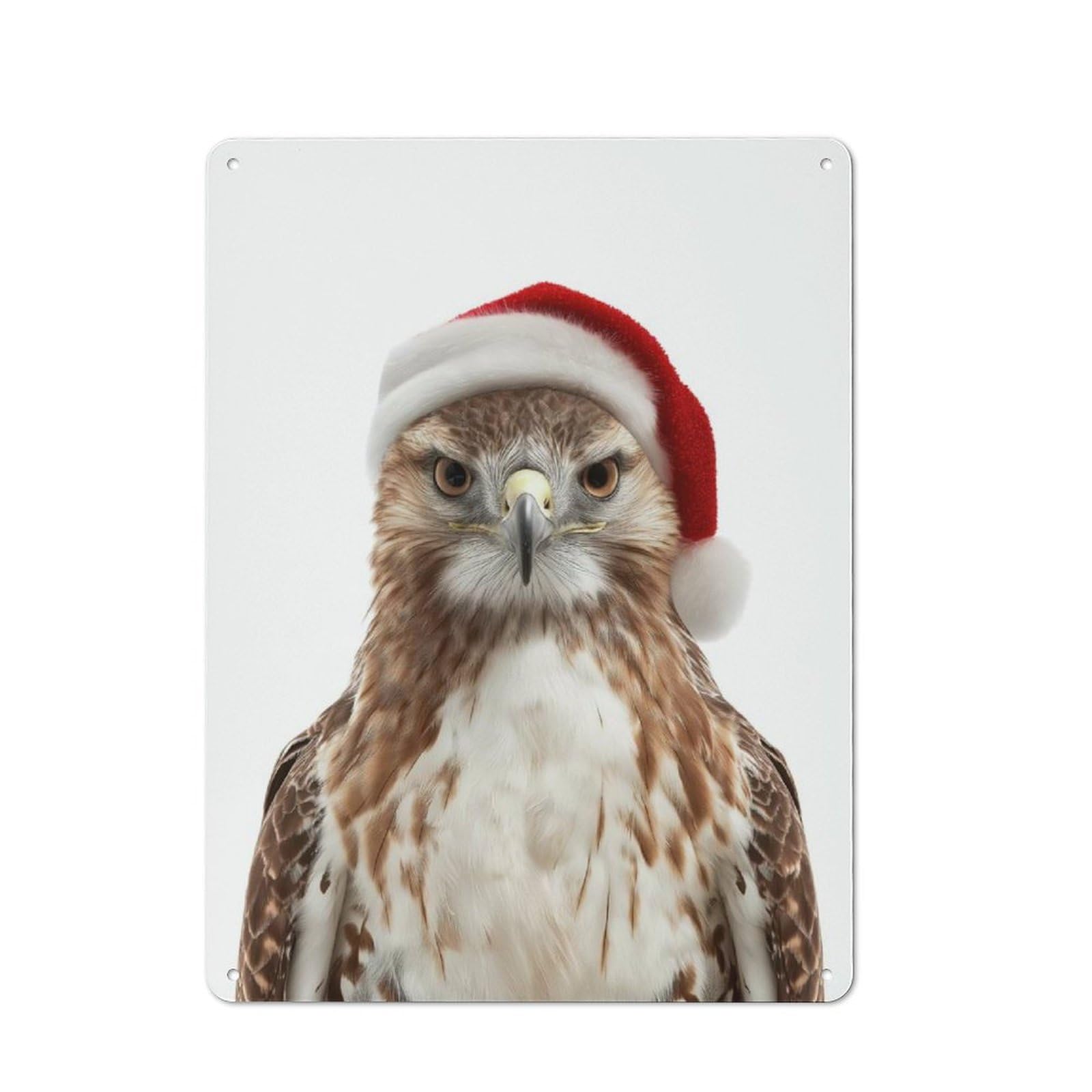 Junmoney Hawk Wearing A Santa Hat Rustic Metal Plaque 40X30cm For Lounge Or Reading Corner, For Home Office, Studio And Craft Room Walls