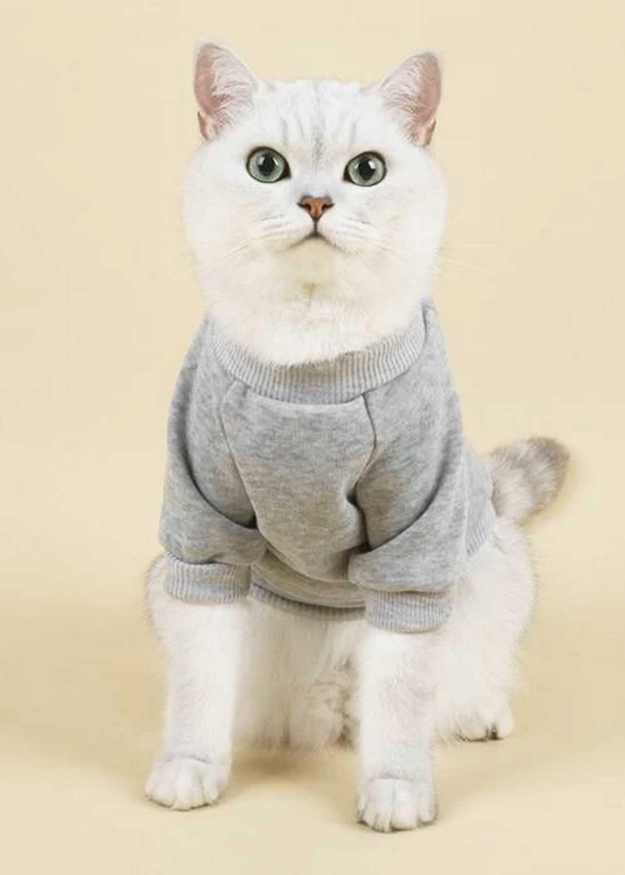Small Dog Hoodie Security Puppy Sweatshirt Pet Hoodies for Medium Dogs, Grey, Small (3.3-5.5lb) - Image 3