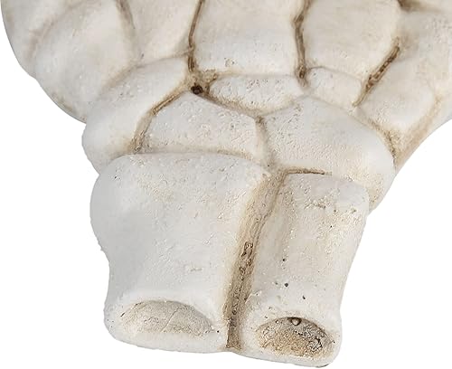 Miniatura 8 de Yosoo Manos de esqueleto de Halloween, adornos de hueso de mano ligeros de alta dureza, proporcionando a los estudiantes de medicina con estructura