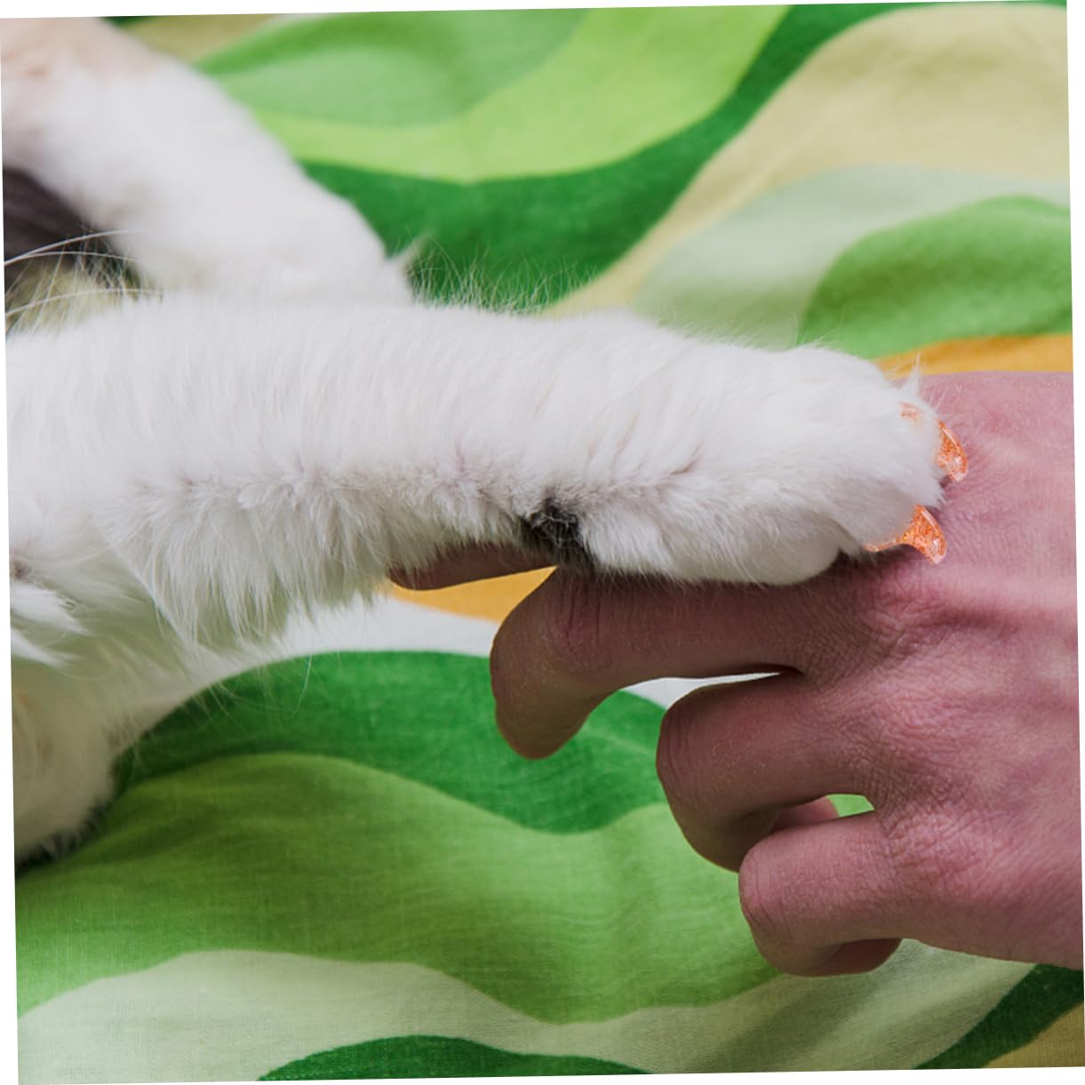 SUPVOX 300 Pièces Ensemble D'Ongles pour Animaux De Compagnie Capuchons De Griffes Capuchons D'Ongles pour Animaux De Compagnie Capuchons D'Ongles De Chat Couvre-Griffes De Chat