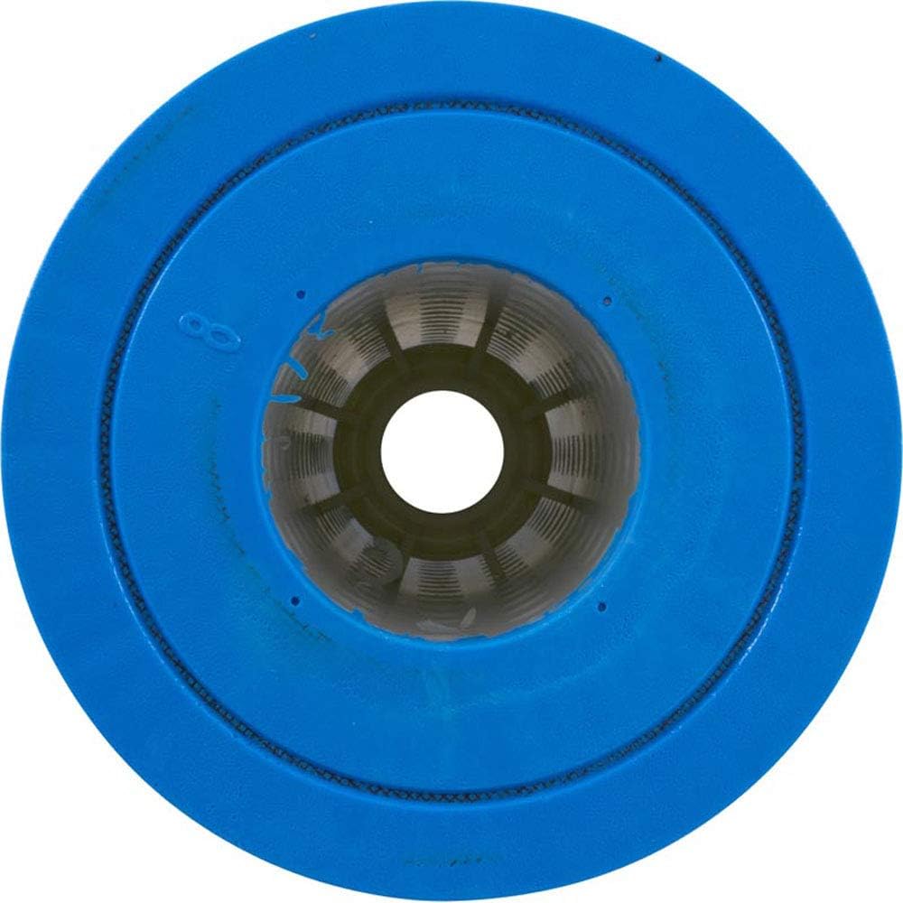 Pentair R173576 420 Square Feet Cartridge Replacement Clean and Clear Plus Pool and Spa Cartridge Filter