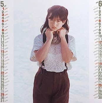 予約 中森明菜カレンダー Amazon.co.jp: 中森明菜 カレンダー : おもちゃ