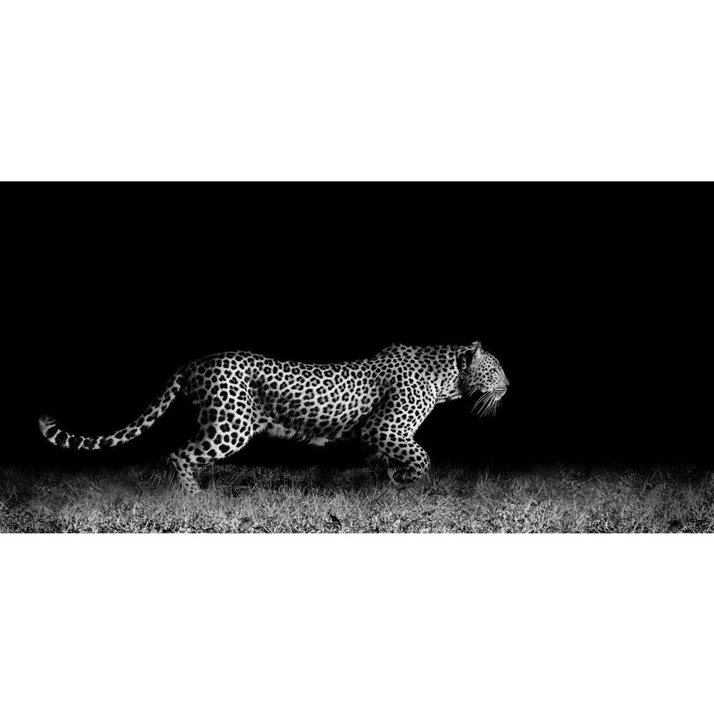 Pitaara Box Wild African Leopard | Unframed Canvas Painting for Bedroom & Living Room | 32.4 x 16 inch (82 x 41 cms)