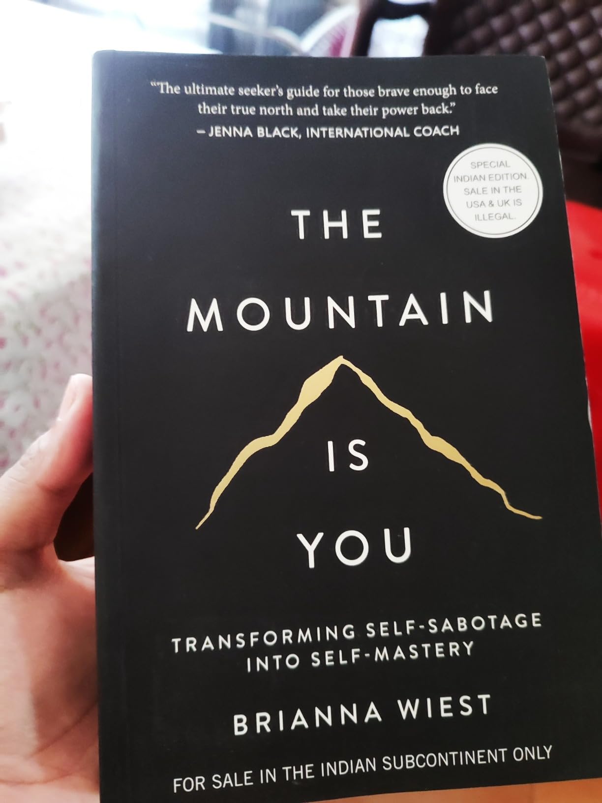 The Mountain is You eBook : Wiest, Brianna: Amazon.in: Kindle Store
