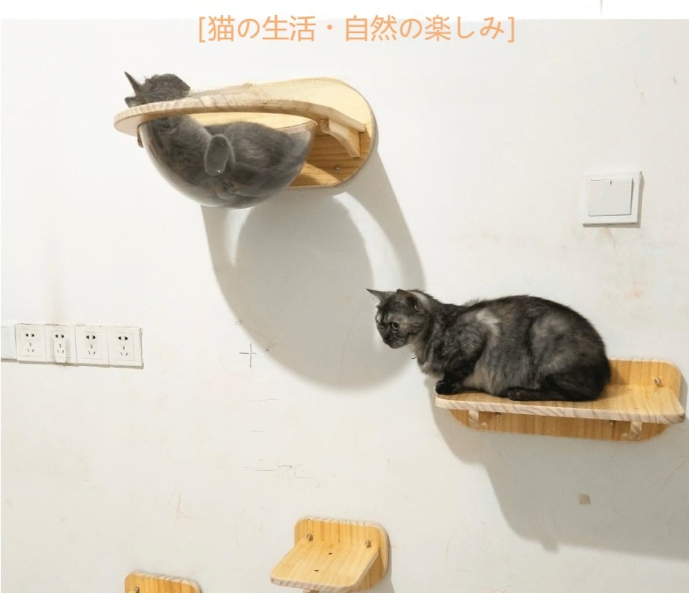 Livmorx 木製猫用壁掛け棚、ステップ 用り・遊び・くつろぎ 壁棚、猫用登ステップ (大きな跳び板)