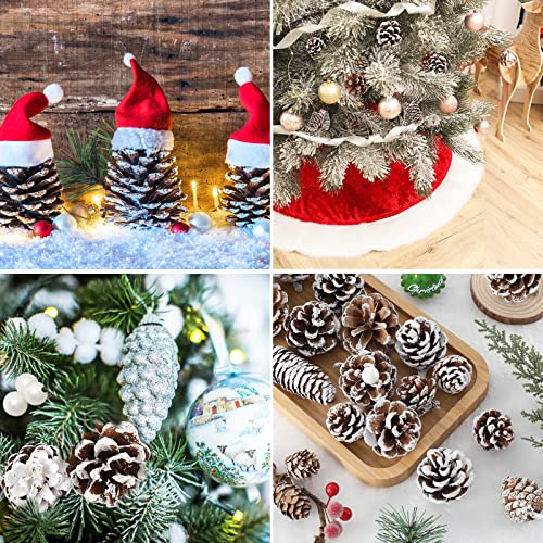 Whaline 170Pcs Christmas Pine Cones Berry Pine Branch Set Snow Pinecones Pendant White Winter Holiday Ornament For Diy Crafts Home Decorations Xmas Tree Gift Tag Party Supplies, Assorted Sizes #TOP6