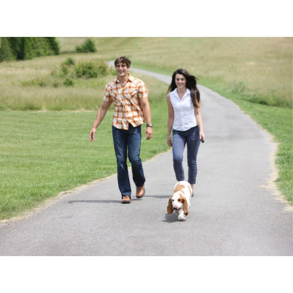 PetSafe Ultraschall-Fernbedienungstrainer - Kompaktes intelligentes System für den Innen & Außen - Stoppt unerwünschtes Bellen & Schlechtes Verhalten - Positive & Negative Töne