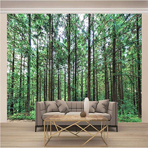 WPDX Wall Mural Green & Pine Forest Removable Wallpaper Wall Decoration for Bedroom Living Room W250 X H175 cm