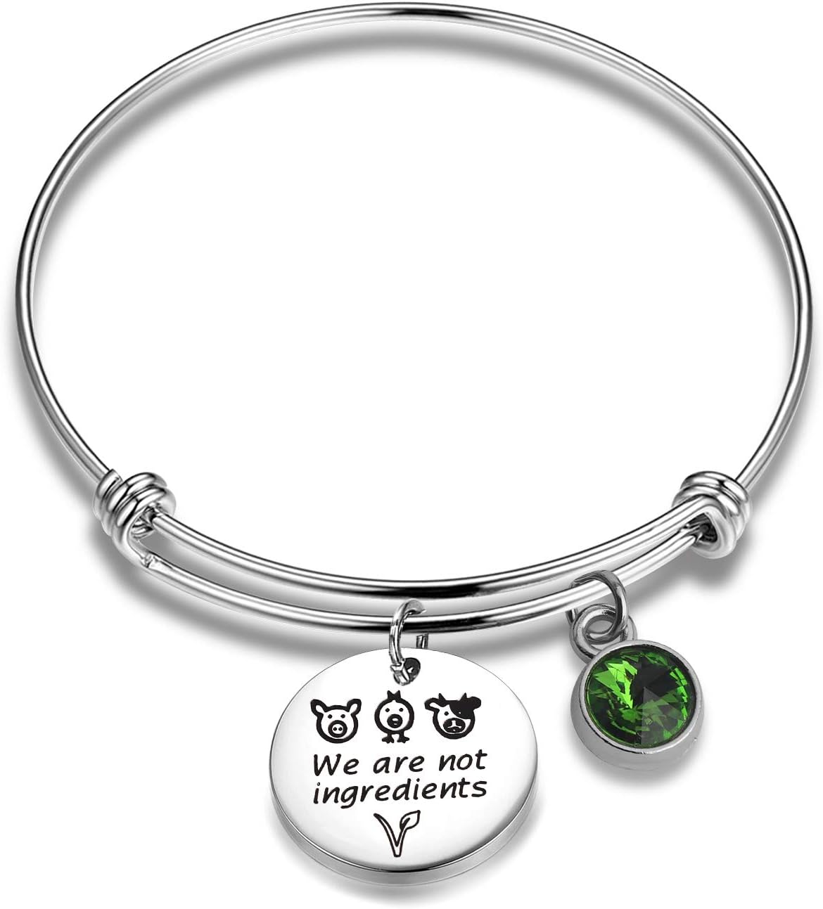 AKTAP Vegetarian Jewelry Vegan Bracelet We are Not Ingredients Animal Rights Bracelet Gift for Vegan Veganism Gift