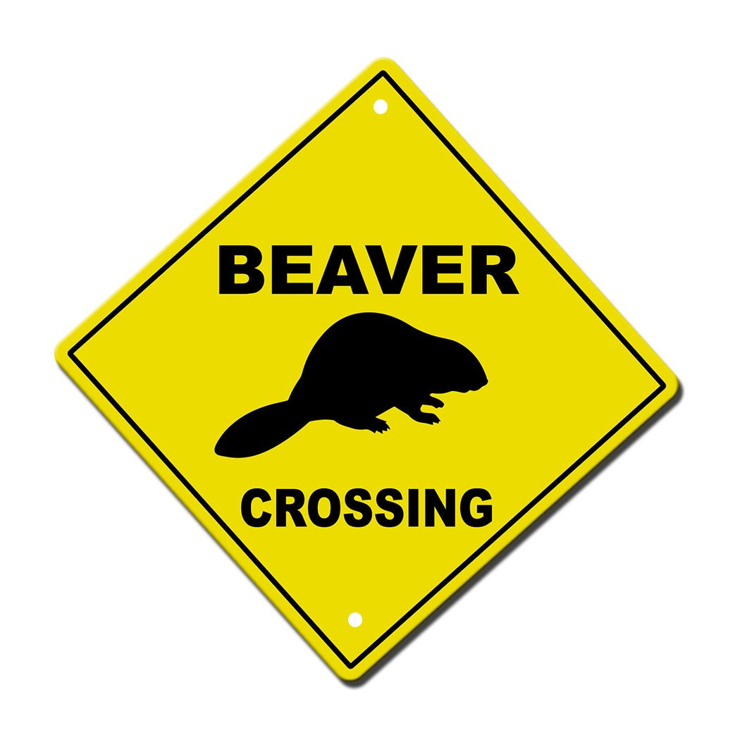 Amazon.com: Fastasticdeals Beaver Crossing Metal Aluminum Novelty