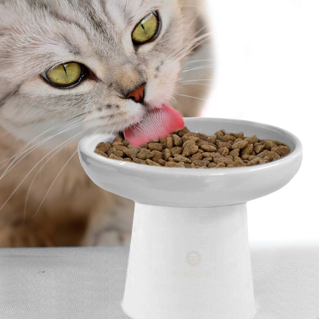 SunGrow Cat Feeding and Water Bowl with Stand, Raised Stoneware Feeding Station, White, 1 Pc per Pack