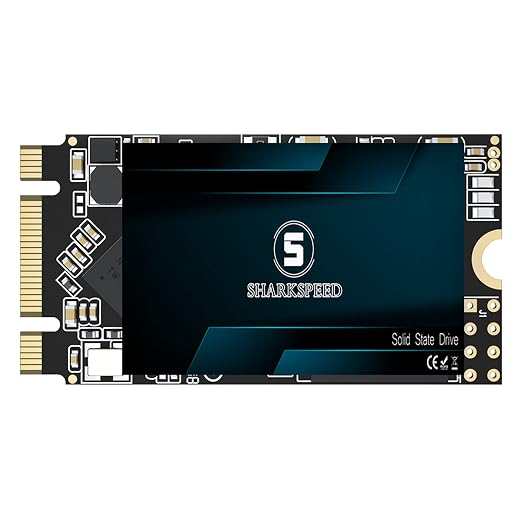 SHARKSPEED SSD 64GB M.2 2242 NGFF 42mm SATA 3 Internal Solid State Drive for Desktop Laptop (M.2 2242, 64GB)