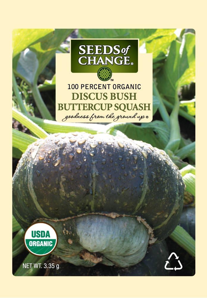Seeds Of Change 7894 Certified Organic Discus Squash Discuss Buttercup