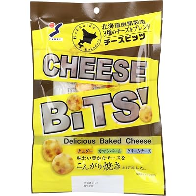 山栄食品工業 北海道函館製造 チーズBits！ 45g×10個