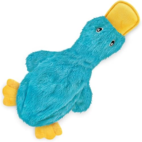 Vista 53 de Best Pet Supplies - Juguetes para cachorros y perros adultos, crujen y hacen chirridos, pollo (azul)