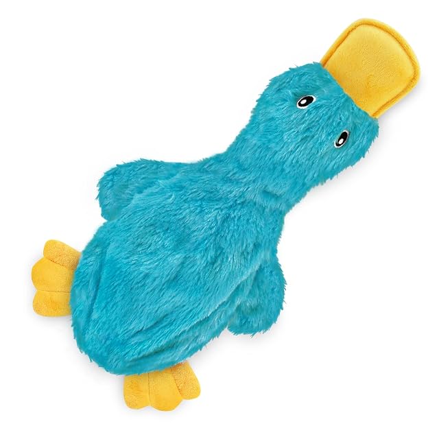 Best Pet Supplies - Juguete crujiente para Perros de Raza pequeña y Mediana, Pato sin Relleno con chirriador…