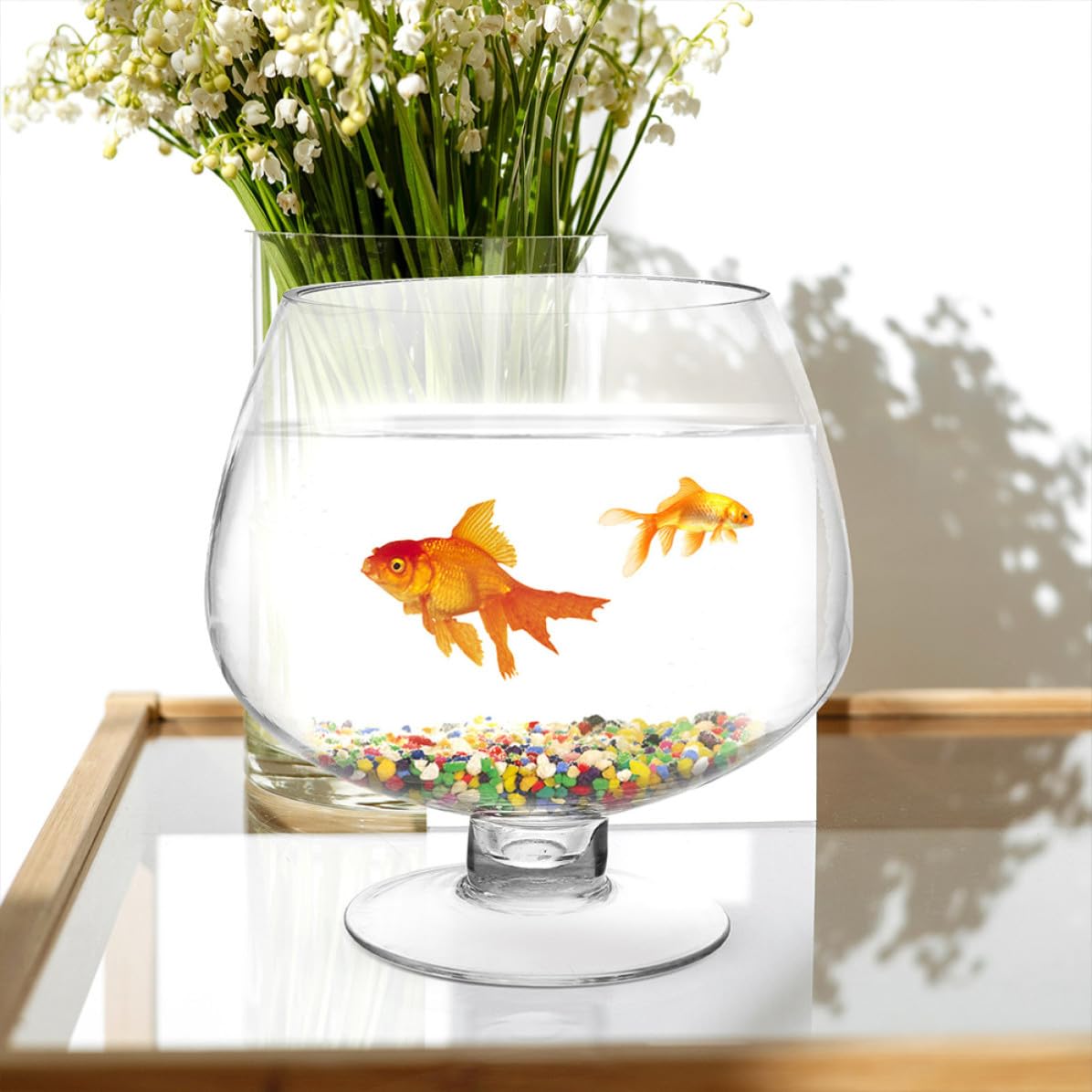 Veemoon Aquarium Multifonction en Verre Transparent pour Poisson Betta, Capacité 4000ml, Surface Lisse Pratique, pour Maison et Jardin