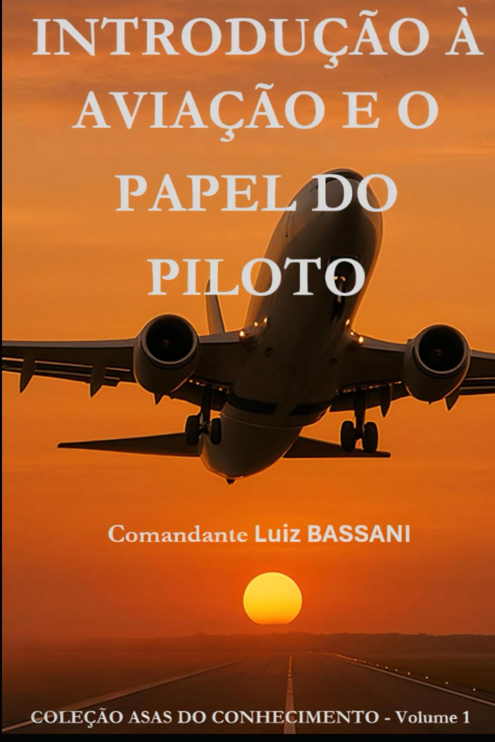 Introdução à Aviação e o Papel do Piloto (ASAS DO CONHECIMENTO)