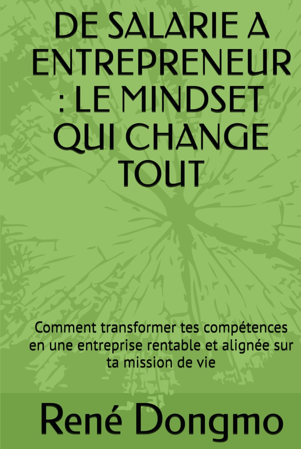 DE SALARIE A ENTREPRENEUR : LE MINDSET QUI CHANGE TOUT: Comment transformer tes compétences en une entreprise rentable et alignée sur ta mission de vie