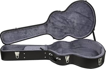 Epiphone Masterbilt DR500 MCE + ソフトケース Epiphone Casino Natural 付属ケースがソフトケースのため特価