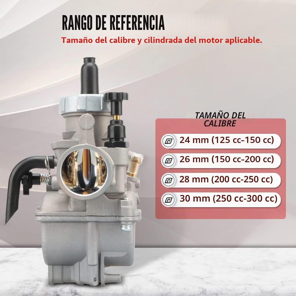 NIBBI Carburador PE30 mm, carburador de motocicleta de 250cc - 300cc con chorros de carbohidratos para motor de motocicleta